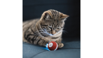 5057216   cheerble m1 mini cat ball   red 4