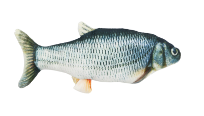 5496451   pettecc flippy fish blue 1