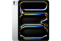 Apple 13" iPad Pro WiFi 256GB with Standard Glass Silver