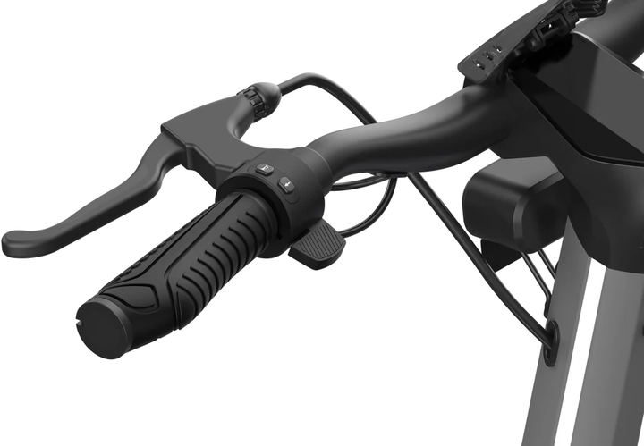 Riderpro   punk rider pro 600 scooter %285%29